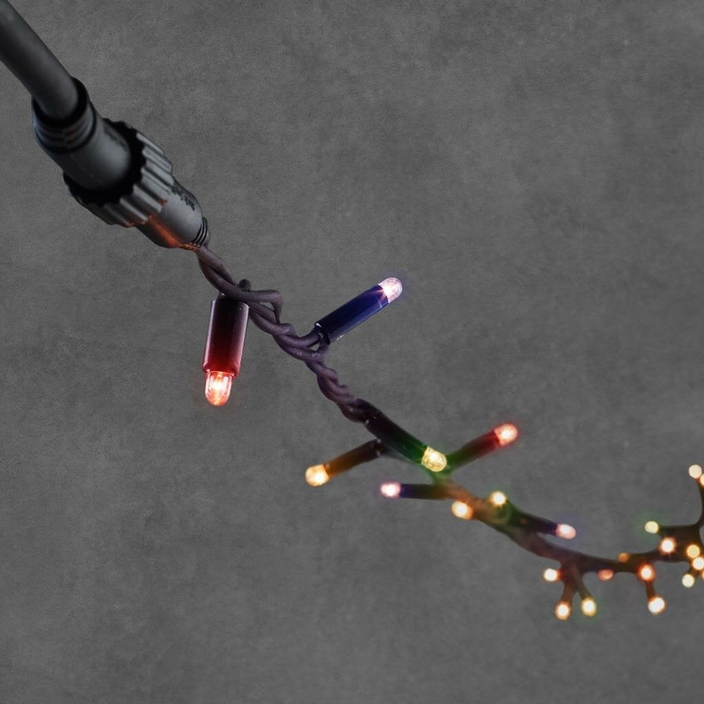 Luca Connect 24 LED kerstverlichting met 98 lampen, multicolor, zwart