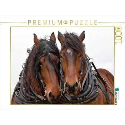 CALVENDO Puzzle Ein Motiv aus dem Kalender Zugpferde bei der Feldarbeit | 1000 Teile Lege-Größe 64 × 48 cm Foto-Puzzle für glückliche Stunden, Game