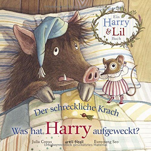 Julia Copus - Der schreckliche Krach - Was hat Harry aufgeweckt? - Preis vom 07.10.2026 11:45:10 h