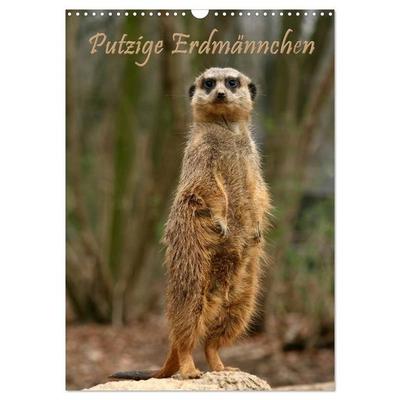 Erdmännchen / Terminplaner (Wandkalender 2027 DIN A3 hoch), CALVENDO Monatskalender