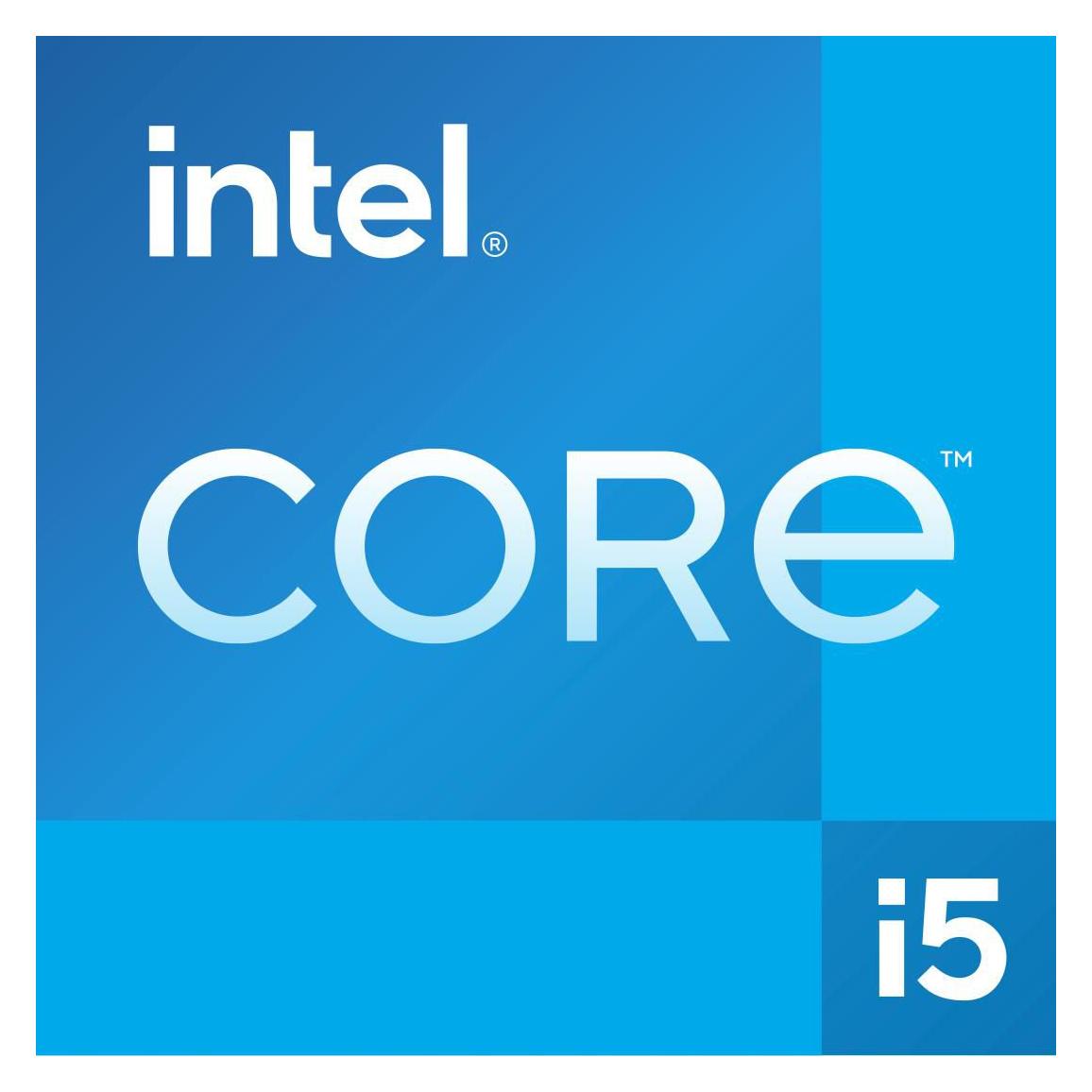 Intel Core i5-12400F 2,5GHz LGA1700 (LGA 1700, 2.50 GHz) (BX8071512400F)