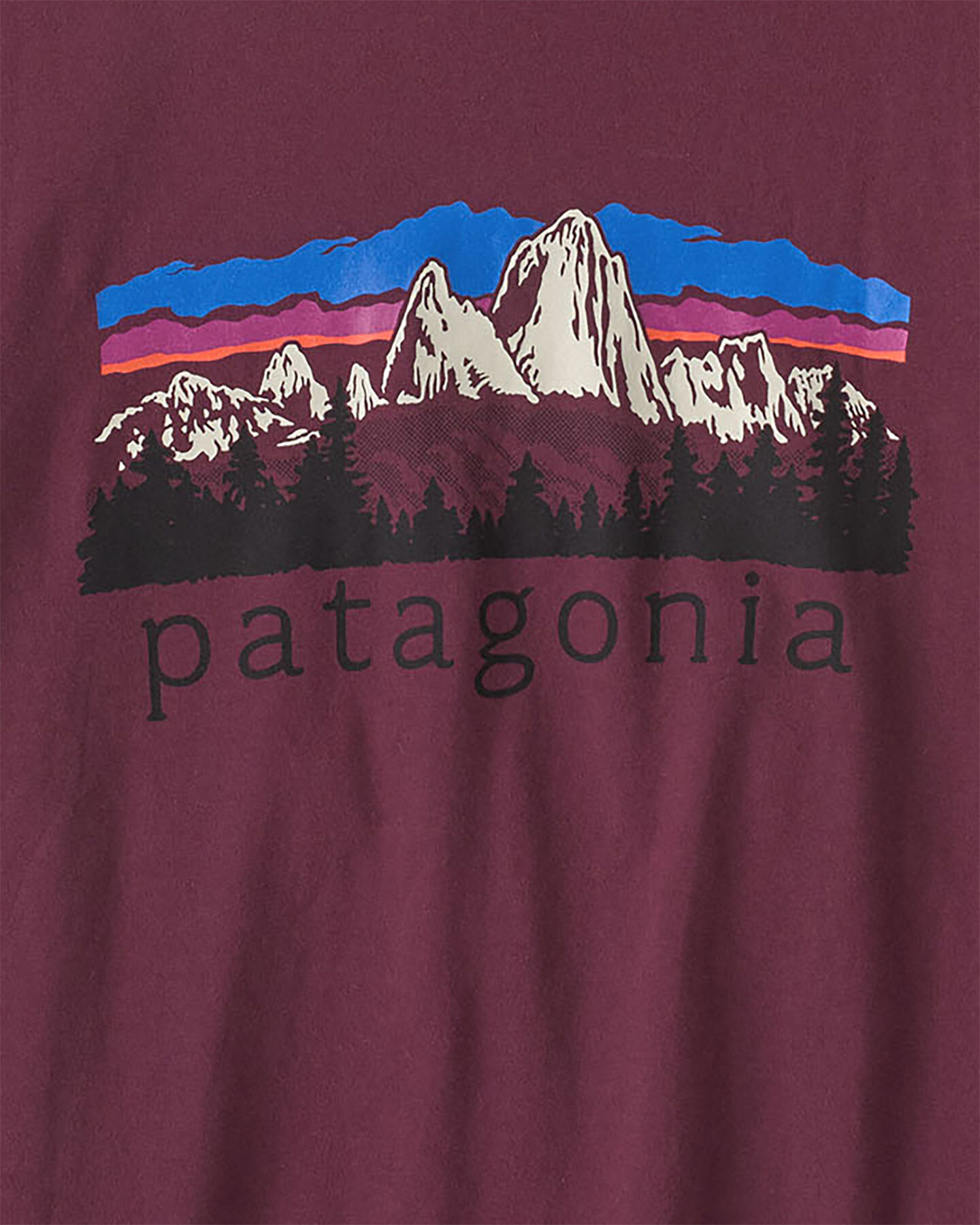 Patagonia Fitz Roy Foothills Ringer W - T-shirt - Donna L