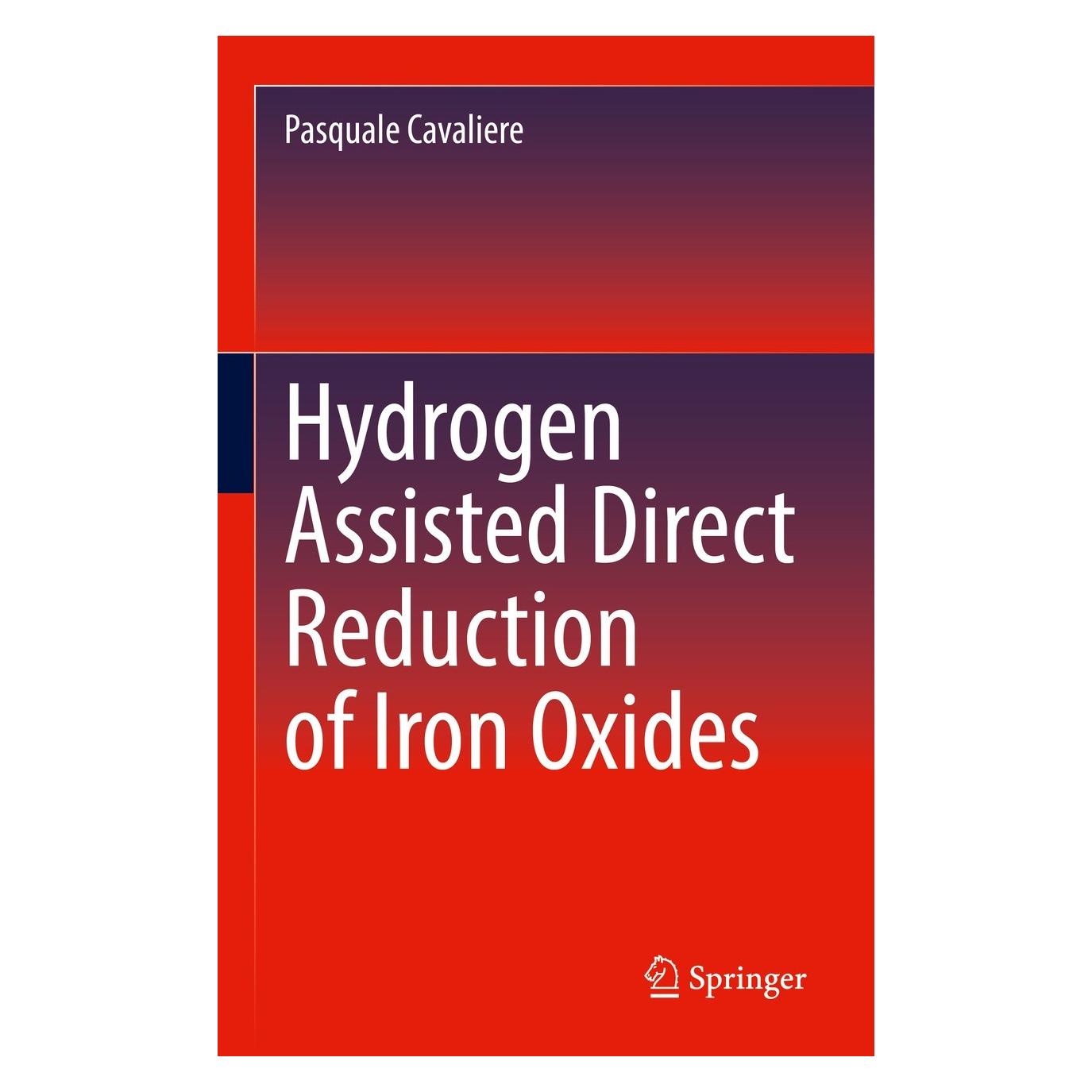 Springer Hydrogen Assisted Direct Reduction of Iron Oxides (Englisch, Hardcover, Pasquale Cavaliere) (9783030980559)