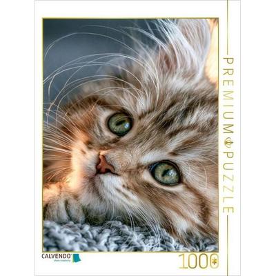 CALVENDO Puzzle Eine Decke zum Kuscheln nur für mich | 1000 Teile Lege-Größe 64x48cm Foto-Puzzle für glückliche Stunden, von , Calvendo Puzzle