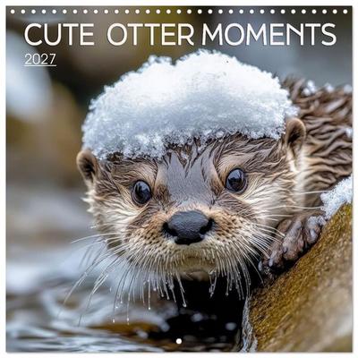 Cute Otter Moments (Wall Calendar 2027 12 × 12 Inch) CALVENDO 12 Month Wall Calendar