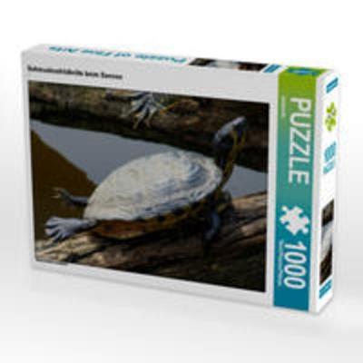 CALVENDO Puzzle Schmuckschildkröte beim Sonnen, Lege-Größe 64 x 48 cm Foto-Puzzle Bild von kattobello