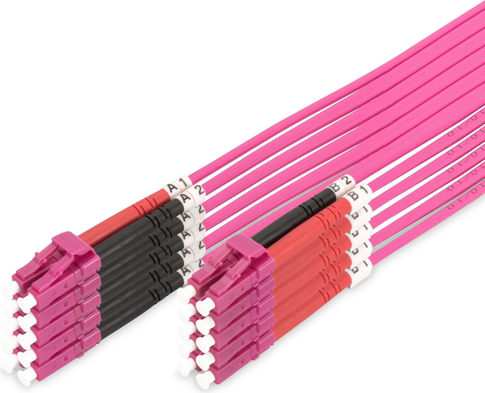 DIGITUS DK-2533-01-4 Glasvezelkabel OM4 LC naar LC Duplex LW 1 meter (5 stuks)