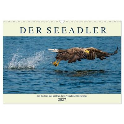 DER SEEADLER Ein Portrait des größten Greifvogels Mitteleuropas (Wandkalender 2027 DIN A3 quer), CALVENDO Monatskalender