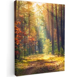 LEINWANDBILD Wald - Herbst - Bäume Wandbild Wohnzimmer 60x80 cm