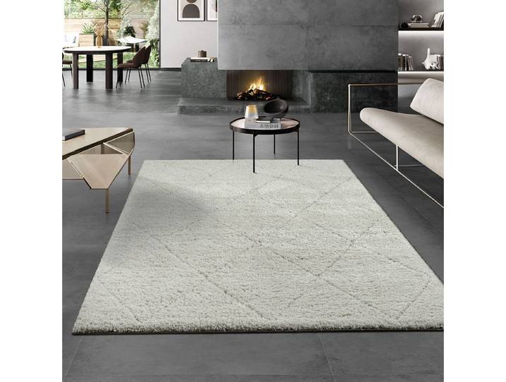 Teppich THE CARPET Bahar Shaggy , beige (creme), B:160cm H:30mm L:230cm, Polypropylen, Teppiche, Teppich