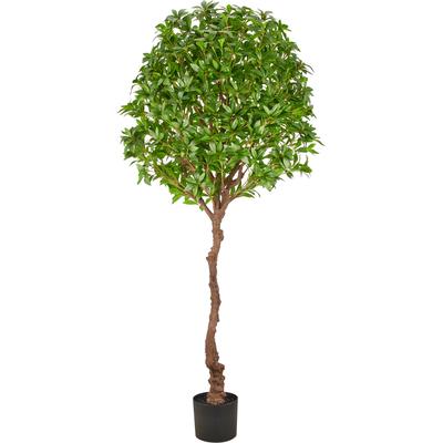 Kunstbaum CREATIV GREEN "Pieris", grün, H:190cm, Obermaterial: 100% Kunststoff, Kunstpflanzen, als Hochstamm