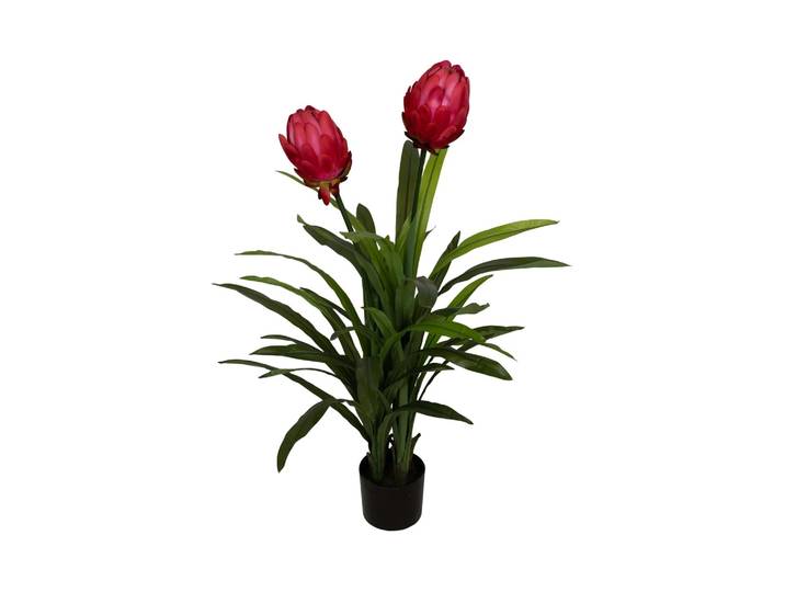 Kunstpflanze Protea Pink H: 116 cm Decofinder