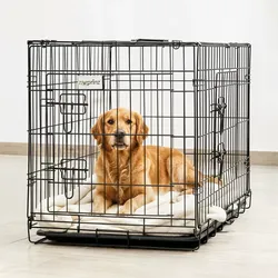 Transportbox XL
