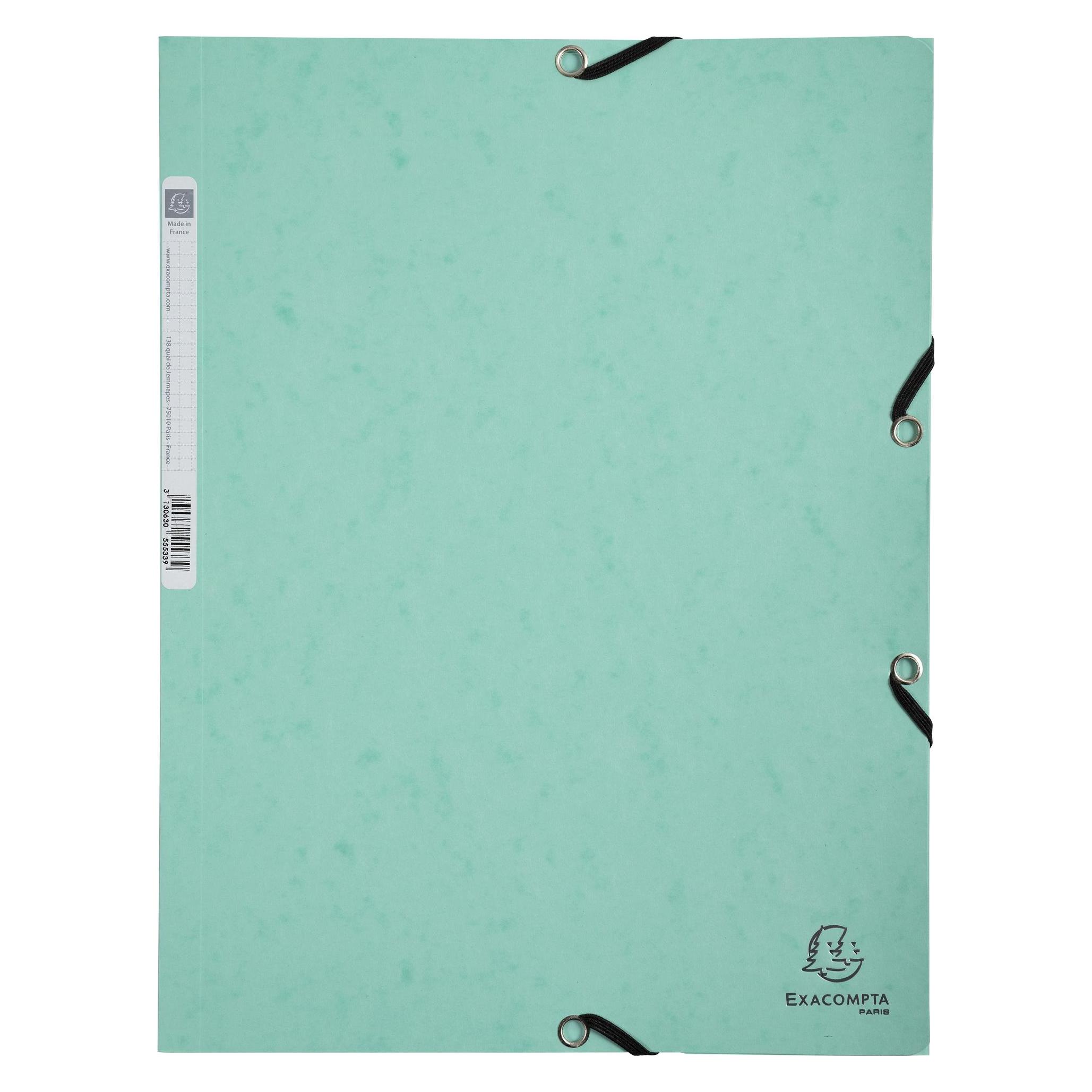 Exacompta Sammelmappe mit Gummizug (A4, 1x) (55560E)