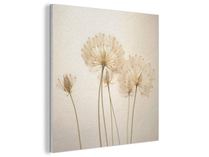 MuchoWow Akustikbild - Sonnenlicht - Löwenzahn - Botanisch - Blumen - 60x60, Creme, Kunststoff, Quadratisch, 60x60x0.9 cm, Wandverkleidung, Akustikpaneele