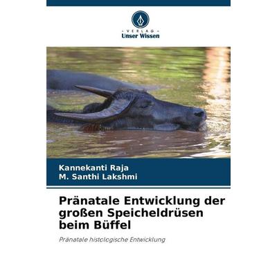 Pränatale Entwicklung der großen Speicheldrüsen beim Büffel, Taschenbuch von Kannekanti Raja,M. Santhi Lakshmi, Verlag Unser Wissen, 978-620-2-49892-0