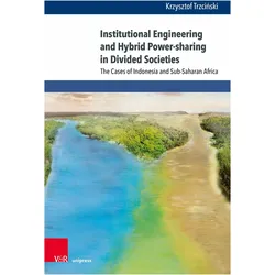 Trzcinski:Institutional Engineering and, Fachbücher von Krzysztof Trzciński