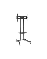LogiLink Economy Wagen für Plasma/LCD/TV/Audio/Video-Komponenten fester kaltgepresster Stahl Bildschirmgröße: 94-177,8 cm 37"-70" (BP0026)