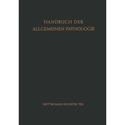 Lymphgefäss-System / Lymph Vessel System, Taschenbuch von , Springer Berlin, 978-3-642-51134-9