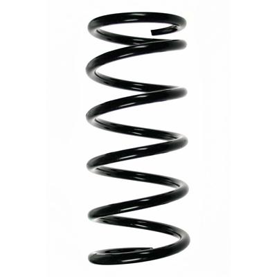 SPIDAN Fahrwerksfeder 85506 Hinterachse für TOYOTA