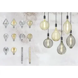 TRIO 988-679 Leuchtmittel LED Globe 1x6W | E27 | 660lm | 2700K
