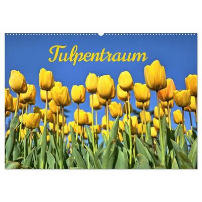 Tulpentraum (Wandkalender 2026 DIN A2 quer), CALVENDO Monatskalender