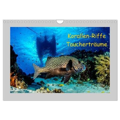 Korallen-Riffe Taucherträume (Wandkalender 2026 DIN A4 quer), CALVENDO Monatskalender