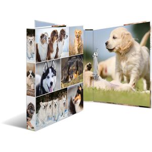 Herma Ringbuch 19427 Animals, A4, 2 Ringe, Ring-Ø 20mm, Motiv Hunde