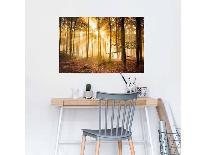 Poster Erleuchteter Wald Papier Braun 61 x 92 x 0cm