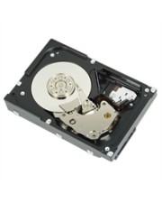 Dell 2 TB 7200 RPM 3.5" NL-SAS HDD rpm (WTJVY)