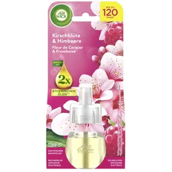 AIRWICK fruchtig Raumduft-Nachfüller 19 ml
