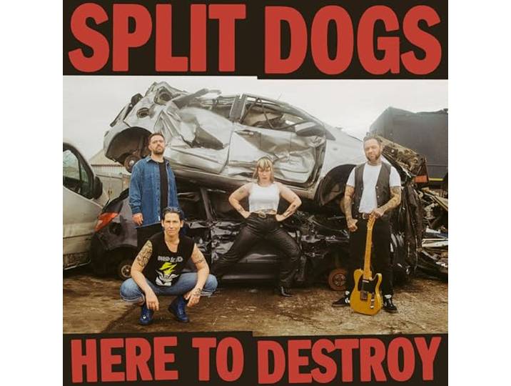 Here To Destroy