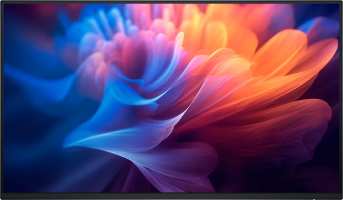 27" Dell P2725H Professional - Ohne Ständer