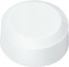 Rundmagnete MAUL, Kunststoff & Metall, Feinstruktur, Haftkraft 170 g, ø 15 x 7,5 mm, weiß, 20 Stück