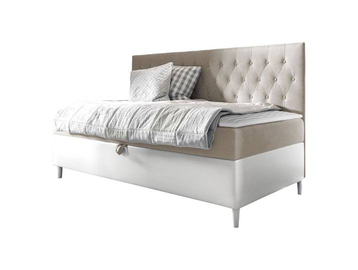 BOXBETT Filip Junior 2 - H3