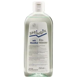 250ml Spring Eiswasser mit Menthol