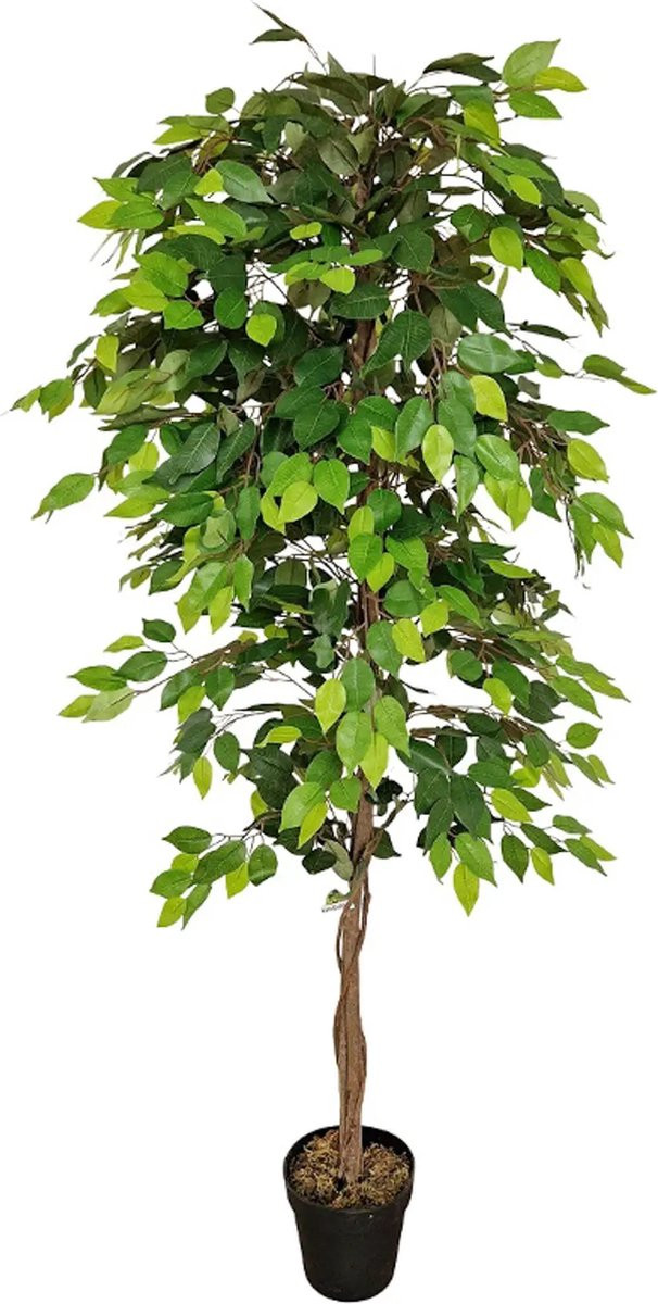 Kunstpalm voor volwassenen