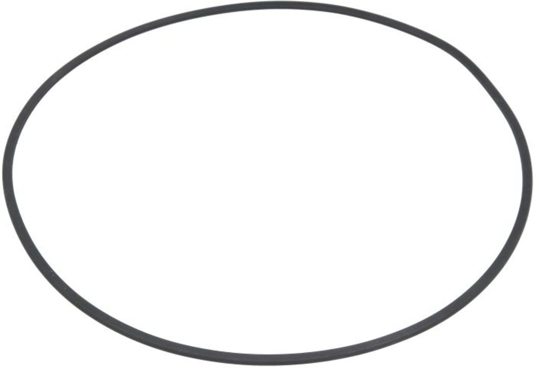 Getriebedichtung BPART 0501324123BP