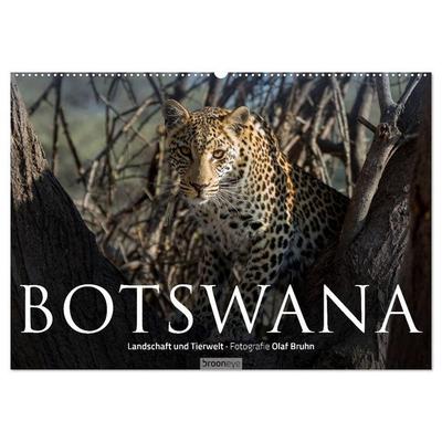 Botswana – Landschaft und Tierwelt (Wandkalender 2026 DIN A2 quer), CALVENDO Monatskalender