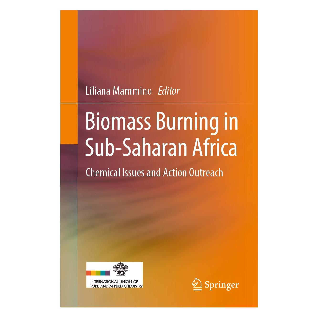 Springer Biomass Burning in Sub-Saharan Africa (Englisch, Hardcover, Liliana Mammino) (9789400708075)