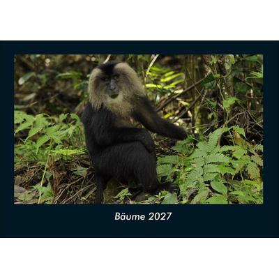 Bäume 2027 Fotokalender DIN A4