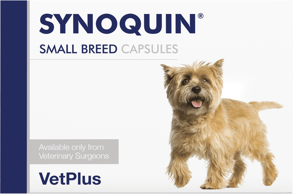 Vetplus Synoquin Cão Raças Pequenas 90 Caps