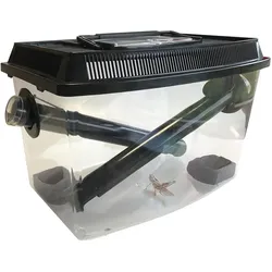 Terra della Grillenkasten, Terrarium