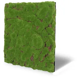 Wandpaneel Jangal Modular Wall 11111 forest green bulk design moos 52 x 52 cm
