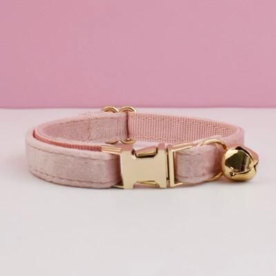 Uplifted Finds Premium Velvet Personalized Cat Collar With Custom Engraved Nameplate, Bowtie, And Bell cat Collar (velvet 36) l