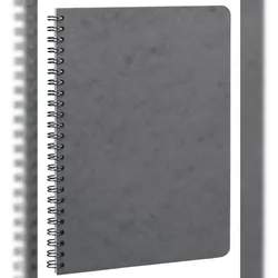 Clairefontaine 5x Spiralbuch Age Bag A5 kariert 50 Blatt - Grau 785325C