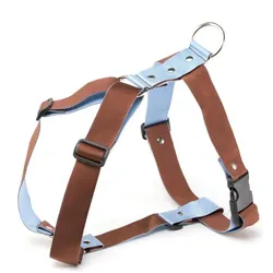 Martin Sellier L (L, Hund, Spazieren), Halsband + Leine