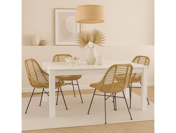 moebel-direkt-online Essgruppe Tischgruppe bestehend aus einem großen Esstisch 160x90 cm und Stühlen, (Spar-Set)