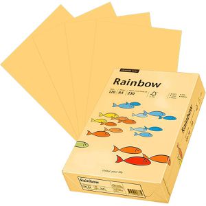 Papyrus Kopierpapier Rainbow 88042280, A4, 120g/qm, chamois, 250 Blatt