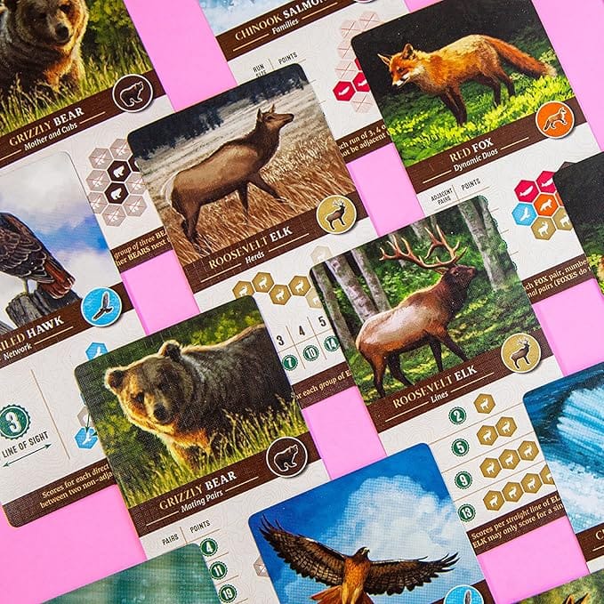 Cascadia Competitive Board Game by Alderac Entertainment Group - Tile Drafting, Variable Scoring, and Pattern-Building for 1-4 Players